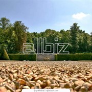 Ландшафтный дизайн фото