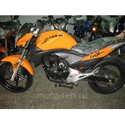 Мотоцикл STELS FLEX 250 в Томске фотография