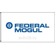 Запчасти FM Federal-Mogul (запчасти fm) фотография