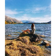 Развитие туристической отрасли на Байкале фотография