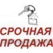 Срочные продажи квартир на 22.05.13 - риэлтор Одесса Роман Ройтман фотография