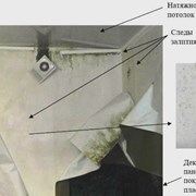 Выполнена оценка ущерба от залива квартиры фотография