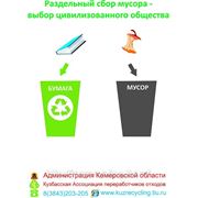 В Администрации Кемеровской области организован раздельный сбор отходов бумаги фотография
