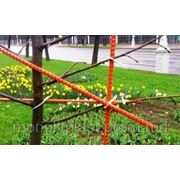 МинскЗеленСтрой применил композитную арматуру АСПЭТ для формирования кроны деревьев! фотография