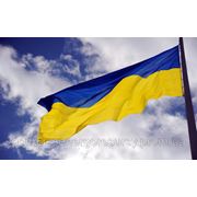 С Днём Независимости Украины! фотография