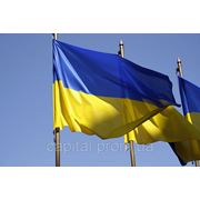 Число сторонников независимости Украины существенно выросло фотография