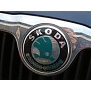 Продажи Skoda в России выросли на 48% фотография