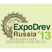 На выставке «ЭКСПОДРЕВ» представят модели техники для работы в условиях Сибири фотография