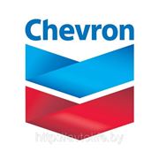 Новый бренд Chevron (США)! Специальная цена на позицию 5W-30 - 29$ за 3,785л!!! фотография