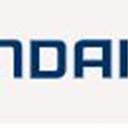 «АЛЬЯНС» представляет новый Hyundai Palisade фотография