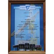 ЗАО «Ульяновскцемент», входящему в Холдинг «ЕВРОЦЕМЕНТ груп», вручили диплом Iстепени фотография