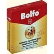 Bayer BOLFO (Больфо) — защита кошек и собак фотография