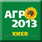 Выставка "Агро 2013" фотография