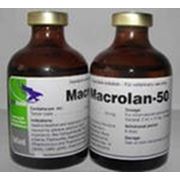 Лечение и профилактика инфекций — Макролан – 50 фотография