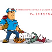 Уничтожение тараканов, клопов в Новокуйбышевске фотография