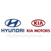 Оригинальные моторные и трансмиссионные масла Hyundai & Kia фотография