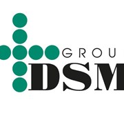 DSM Group запустила новый сайт промоподарков фотография