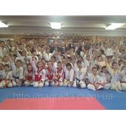 Чемпионат по киокушин карате среди детей, юношей и девушек. фотография