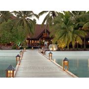 Отели на Мальдивах - выберете свой отель! Список рекомендованных отелей на Мальдивских островах. фотография