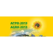 Выставка "АГРО 2013" - главное аграрное событие весны. фотография