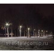 В Санкт-Петербурге успешно реализуется программа по внедрению светодиодного освещения в парках и садах города фотография