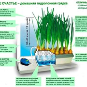 Система Луковое Счастье выращиватель зелёного лука фотография