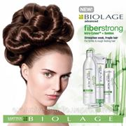 Matrix выпустила Новую линию Biolage FIBERSTRONG – делаем волосы сильней фотография