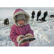 На Киевском водохранилище добровольцы спасают рыбу от мора фотография