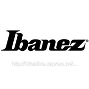 Поступление новинок от IBANEZ ! фотография