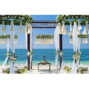 Свадьба в ИНДОНЕЗИИ, о.Бали + туры на медовый месяц на о.Бали фотография