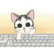 Ігри для кішок на IPad. відео фотография