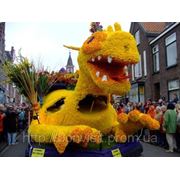 20 апреля в Нидерландах пройдет 66-ой ежегодный Цветочный парад фотография