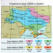 Украина - Новые Климатические зоны! фотография
