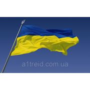 С днем Независимости Украины! фотография
