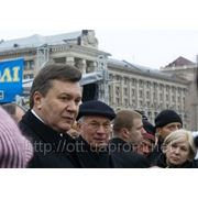 Янукович подписал закон об упрощенке фотография