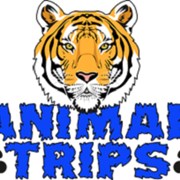 Индивидуальная доставка животных от Animal Trips фотография
