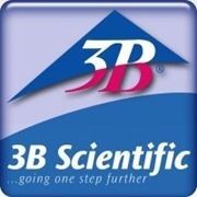 3B Scientific ... фотография
