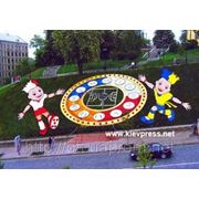 Цветочные часы в центре Киева поменяют дизайн к Евро-2012 фотография
