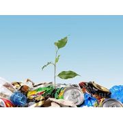 В Новокузнецке утвержден городской реестр подлежащих переработке отходов (вторичных ресурсов) фотография