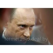 Российские эксперты рассказали Путину, как выйти из политического кризиса фотография