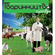 Мастер-класс «Молочный бизнес» от ведущих ферм Украины фотография