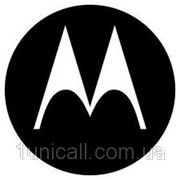 Motorola розробила татуювання з "паролем" фотография