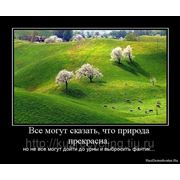 Как улучшить состояние окружающей среды? Что может сделать один человек? фотография