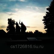 Акция! К 71-ой годовщине Освобождения Воронежа и Дню Защитника Отечества! фотография