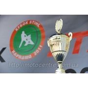 Кубок STIHL «Карпаты 2011» фотография