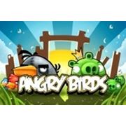 В Китае откроется парк Angry Birds фотография