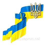 Компания «Воротные Системы — Днепропетровск» поздравляет своих клиентов и партнеров с Днем Независимости Украины! фотография