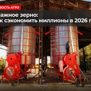 Влажное зерно: какой способ сушки самый выгодный  фотография