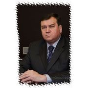 Представлен глава Центрального округа Новосибирска фотография