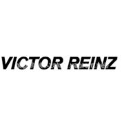 Расширение ассортимента прокладок и болтов ГБЦ по Victor REINZ фотография